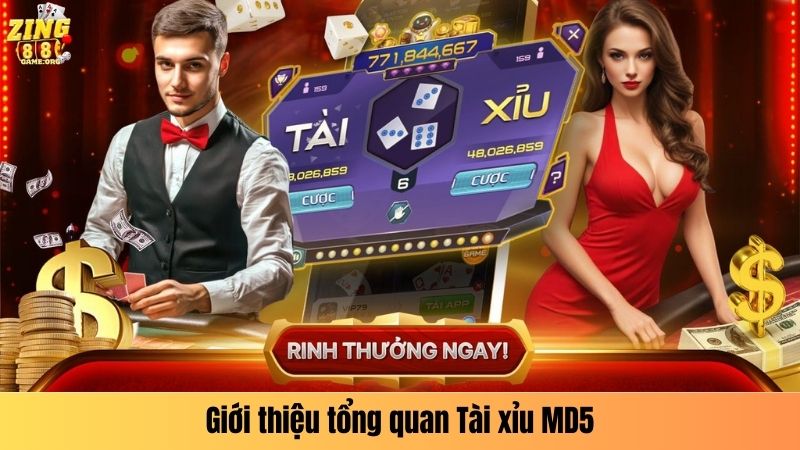 Giới thiệu tổng quan Tài xỉu MD5